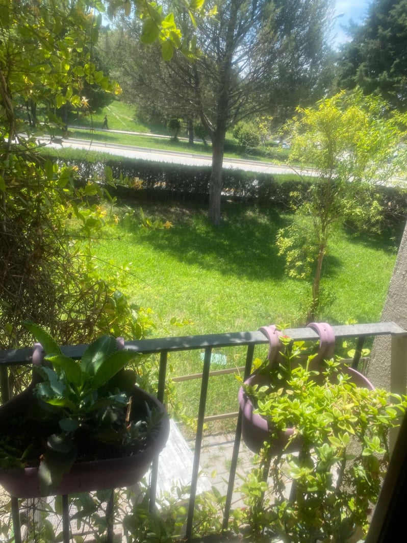 sudem güzellik salonu firma resimleri